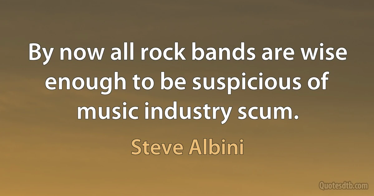 By now all rock bands are wise enough to be suspicious of music industry scum. (Steve Albini)