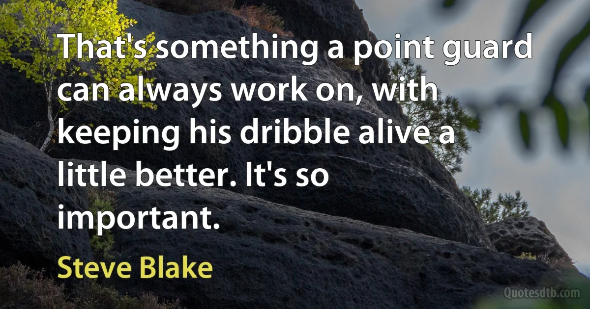 That's something a point guard can always work on, with keeping his dribble alive a little better. It's so important. (Steve Blake)