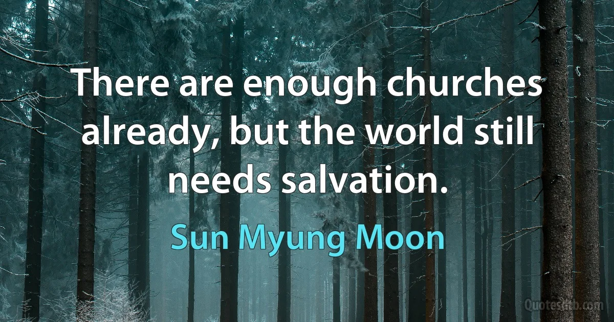 There are enough churches already, but the world still needs salvation. (Sun Myung Moon)