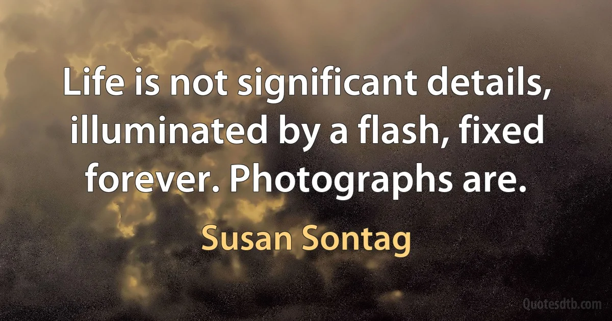 Life is not significant details, illuminated by a flash, fixed forever. Photographs are. (Susan Sontag)