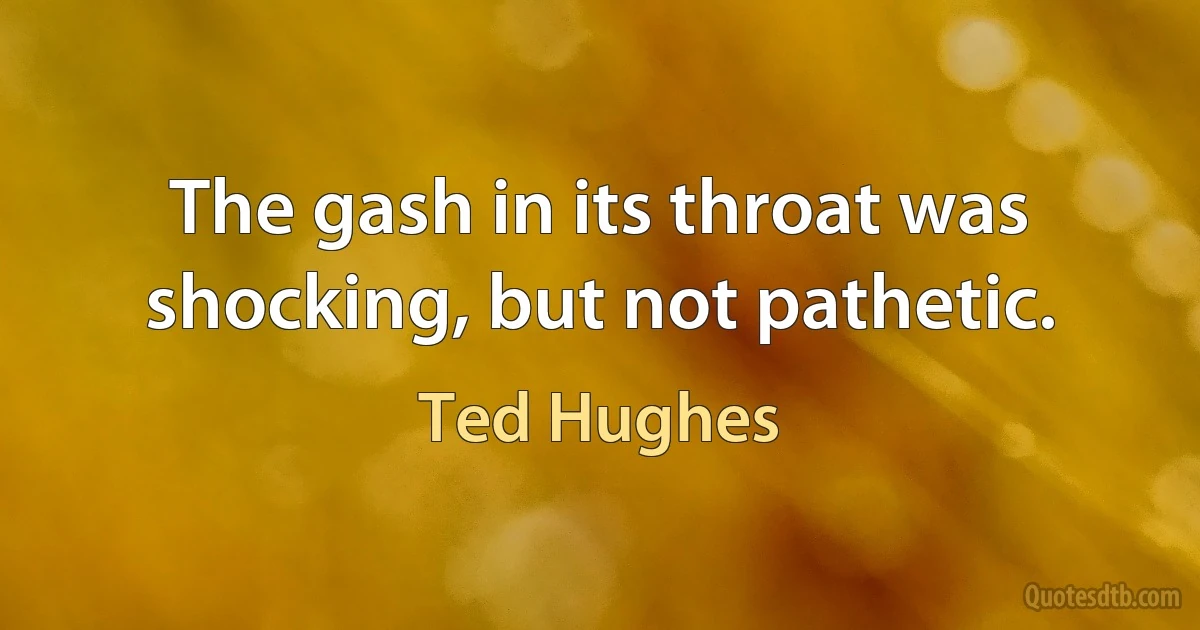 The gash in its throat was shocking, but not pathetic. (Ted Hughes)