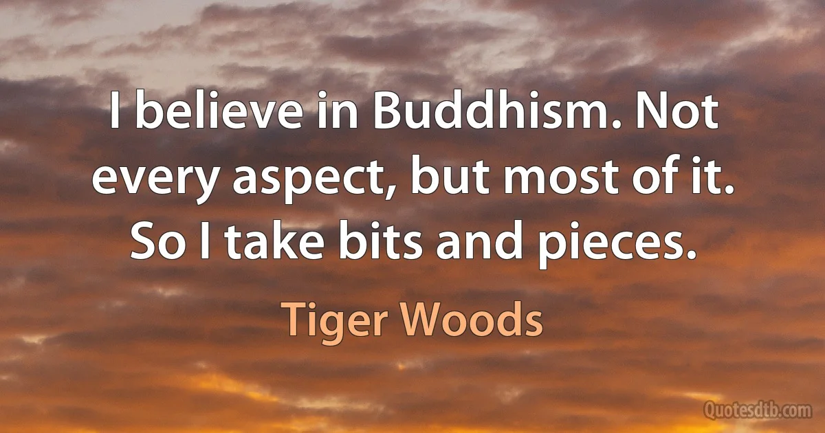 I believe in Buddhism. Not every aspect, but most of it. So I take bits and pieces. (Tiger Woods)