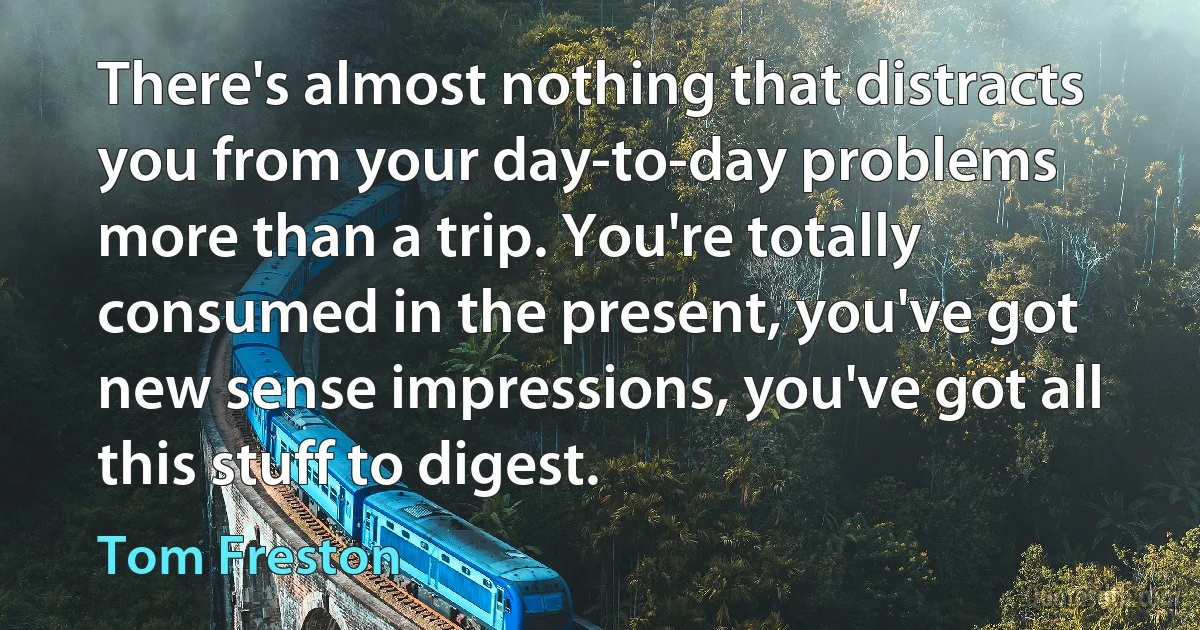 There's almost nothing that distracts you from your day-to-day problems more than a trip. You're totally consumed in the present, you've got new sense impressions, you've got all this stuff to digest. (Tom Freston)