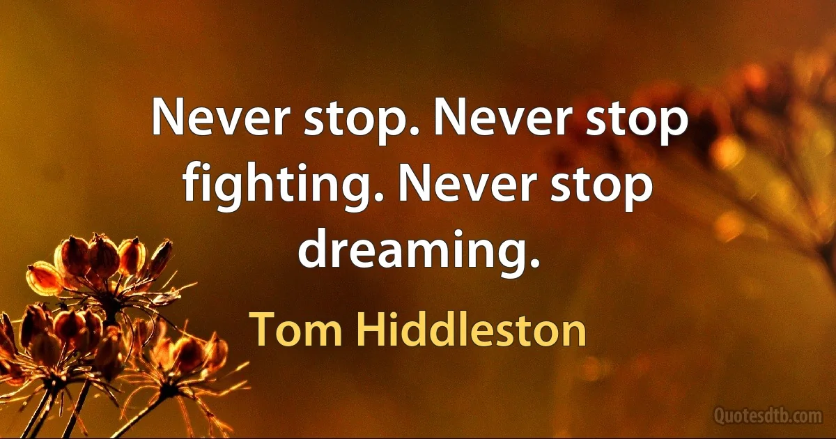 Never stop. Never stop fighting. Never stop dreaming. (Tom Hiddleston)