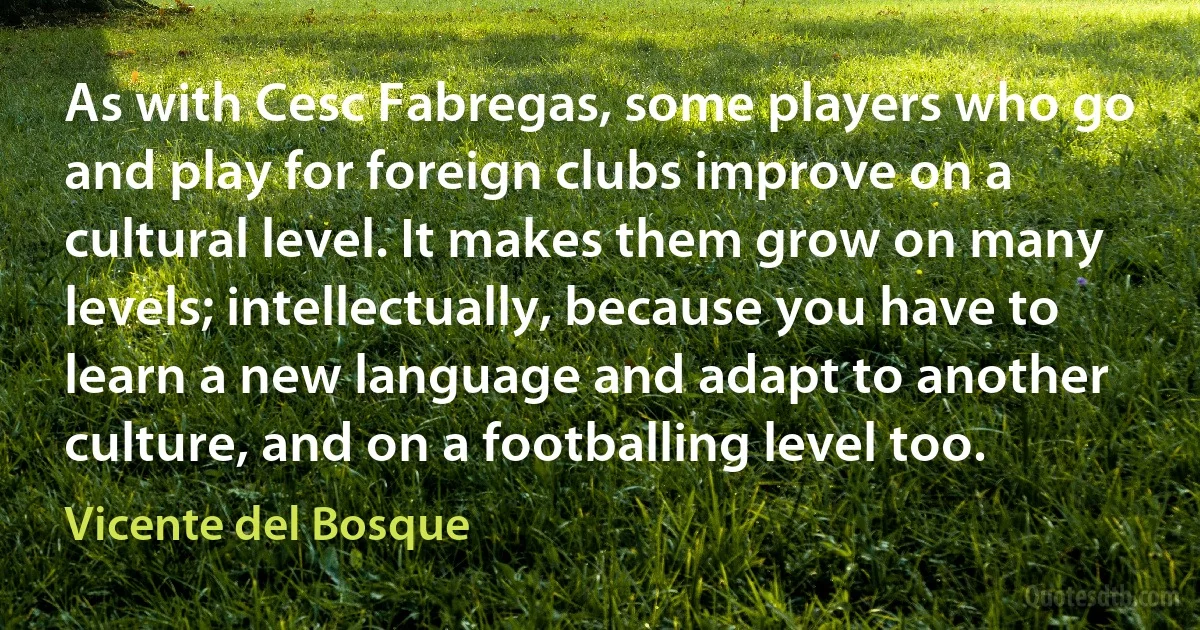 As with Cesc Fabregas, some players who go and play for foreign clubs improve on a cultural level. It makes them grow on many levels; intellectually, because you have to learn a new language and adapt to another culture, and on a footballing level too. (Vicente del Bosque)