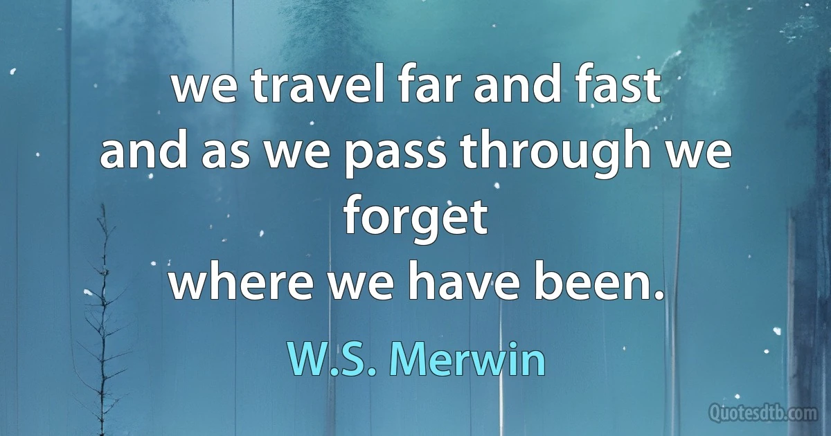 we travel far and fast
and as we pass through we forget
where we have been. (W.S. Merwin)