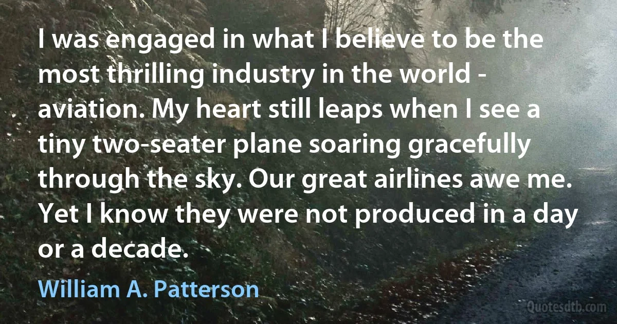 I was engaged in what I believe to be the most thrilling industry in the world - aviation. My heart still leaps when I see a tiny two-seater plane soaring gracefully through the sky. Our great airlines awe me. Yet I know they were not produced in a day or a decade. (William A. Patterson)