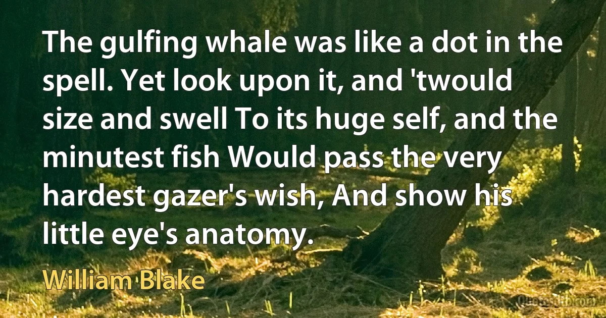 The gulfing whale was like a dot in the spell. Yet look upon it, and 'twould size and swell To its huge self, and the minutest fish Would pass the very hardest gazer's wish, And show his little eye's anatomy. (William Blake)