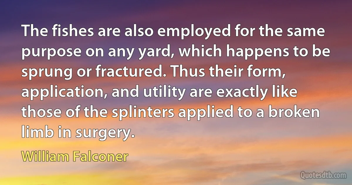 The fishes are also employed for the same purpose on any yard, which happens to be sprung or fractured. Thus their form, application, and utility are exactly like those of the splinters applied to a broken limb in surgery. (William Falconer)