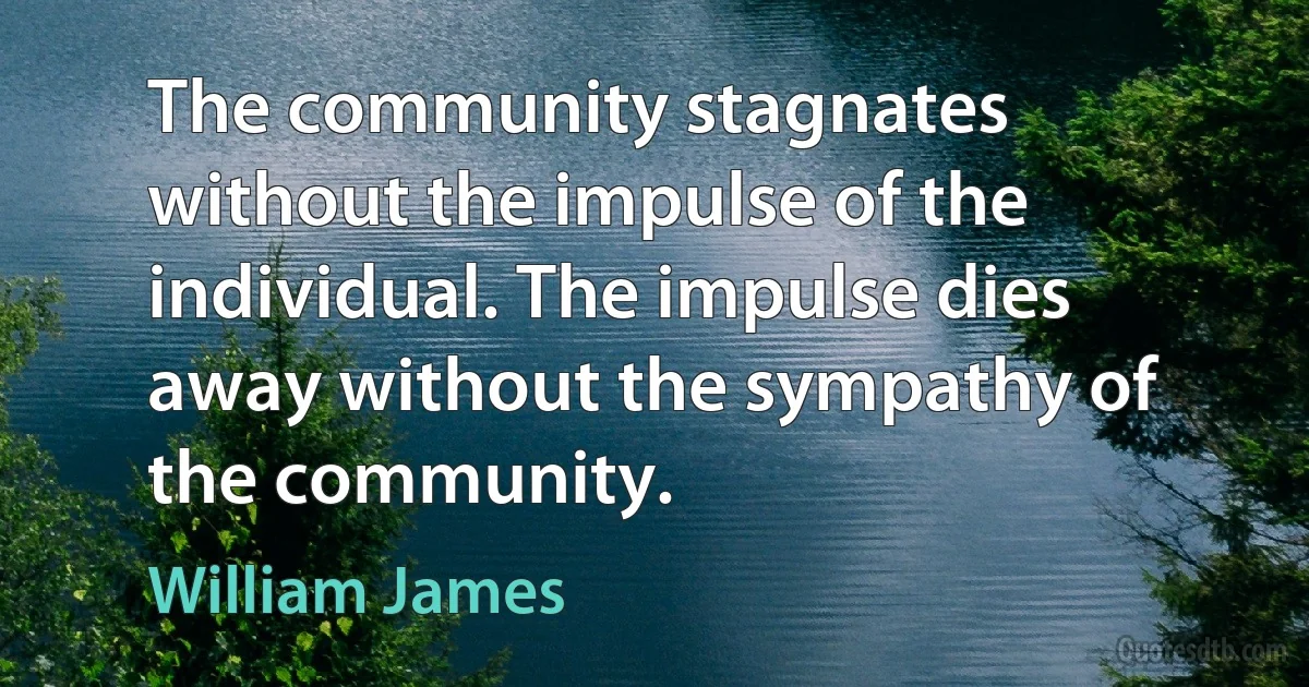 The community stagnates without the impulse of the individual. The impulse dies away without the sympathy of the community. (William James)