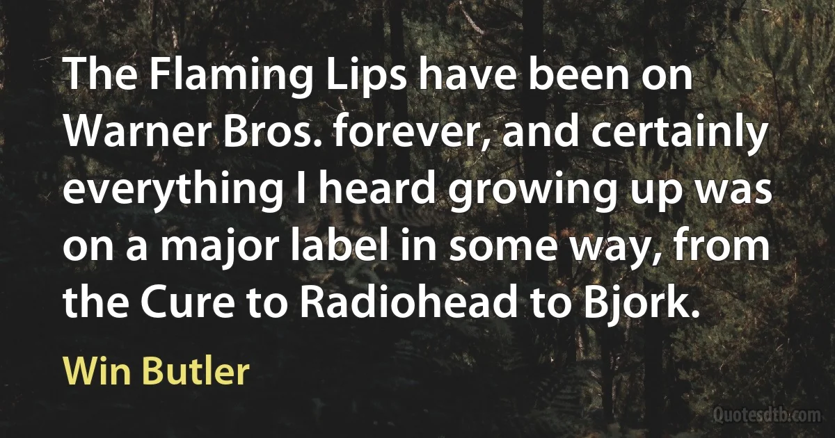 The Flaming Lips have been on Warner Bros. forever, and certainly everything I heard growing up was on a major label in some way, from the Cure to Radiohead to Bjork. (Win Butler)