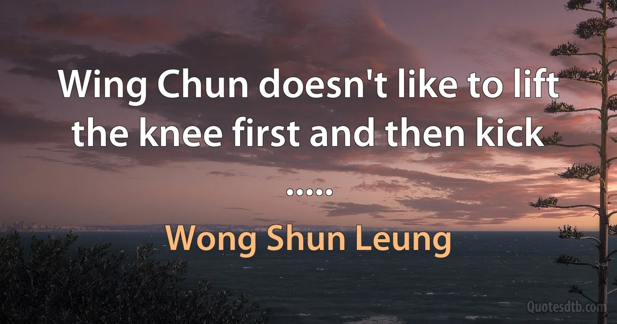 Wing Chun doesn't like to lift the knee first and then kick ..... (Wong Shun Leung)