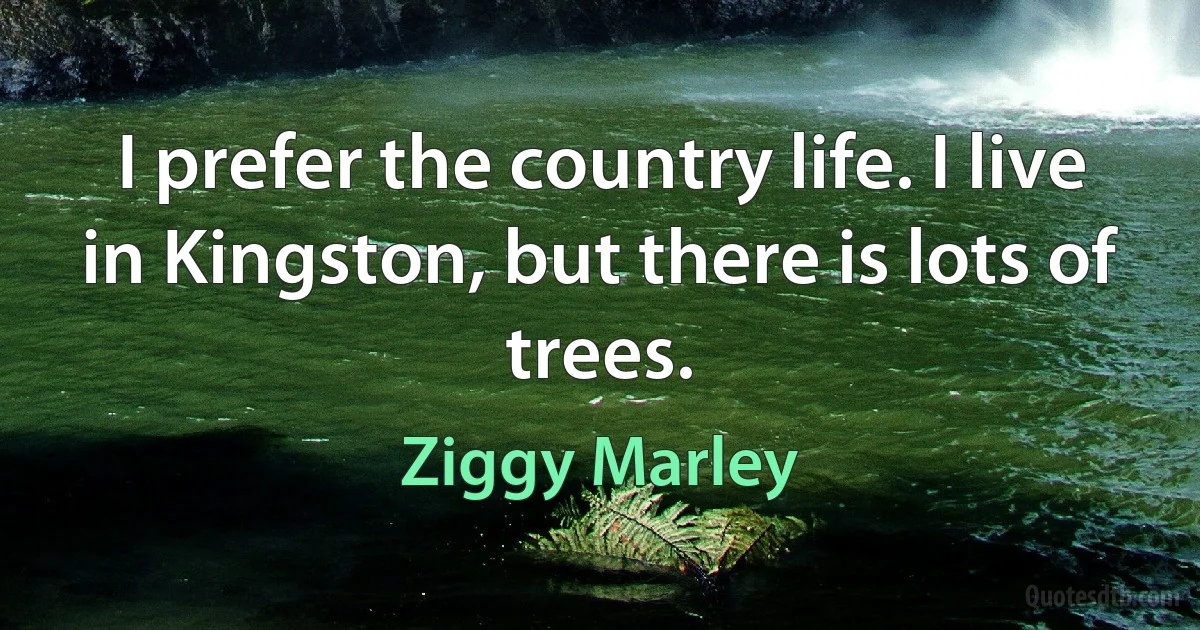 I prefer the country life. I live in Kingston, but there is lots of trees. (Ziggy Marley)