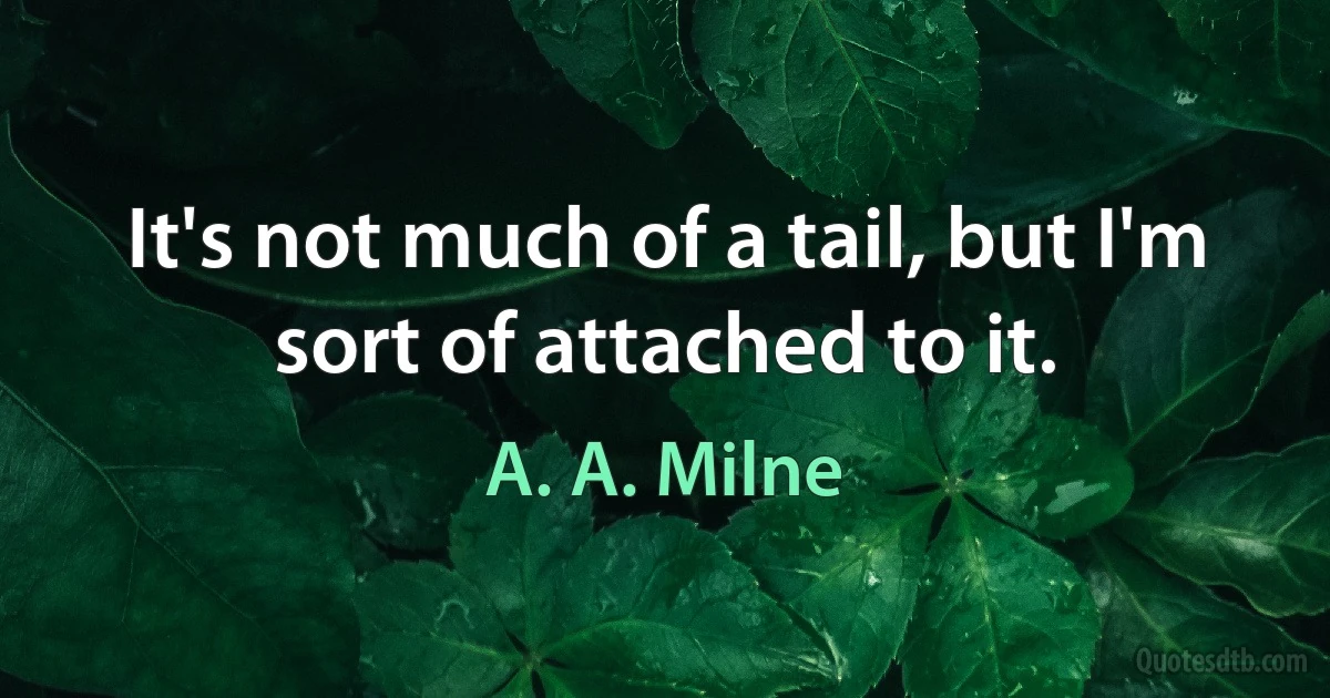 It's not much of a tail, but I'm sort of attached to it. (A. A. Milne)