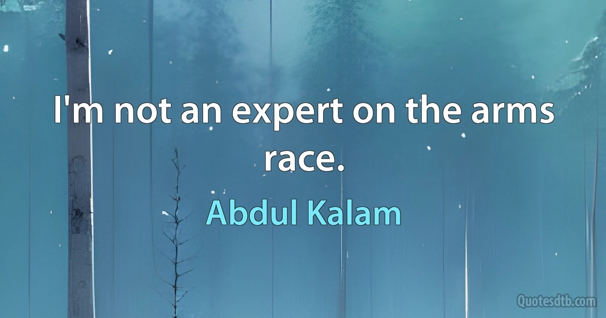 I'm not an expert on the arms race. (Abdul Kalam)