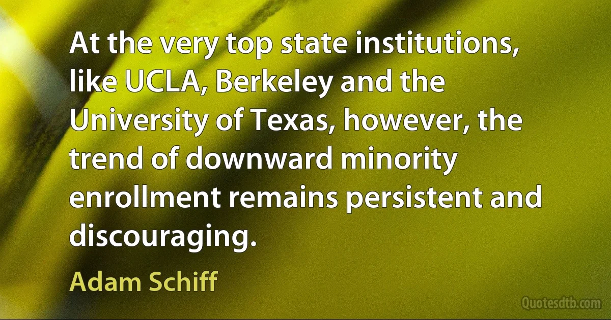 At the very top state institutions, like UCLA, Berkeley and the University of Texas, however, the trend of downward minority enrollment remains persistent and discouraging. (Adam Schiff)