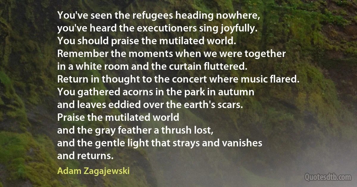 You've seen the refugees heading nowhere,
you've heard the executioners sing joyfully.
You should praise the mutilated world.
Remember the moments when we were together
in a white room and the curtain fluttered.
Return in thought to the concert where music flared.
You gathered acorns in the park in autumn
and leaves eddied over the earth's scars.
Praise the mutilated world
and the gray feather a thrush lost,
and the gentle light that strays and vanishes
and returns. (Adam Zagajewski)