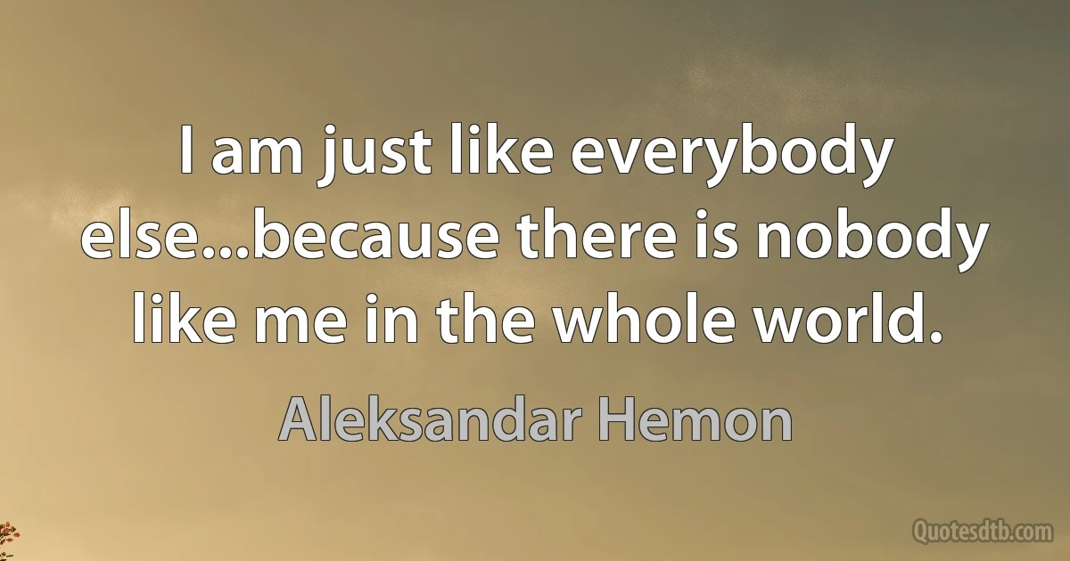 I am just like everybody else...because there is nobody like me in the whole world. (Aleksandar Hemon)