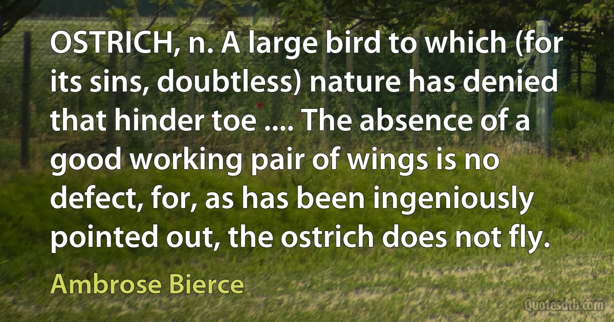 OSTRICH, n. A large bird to which (for its sins, doubtless) nature has denied that hinder toe .... The absence of a good working pair of wings is no defect, for, as has been ingeniously pointed out, the ostrich does not fly. (Ambrose Bierce)