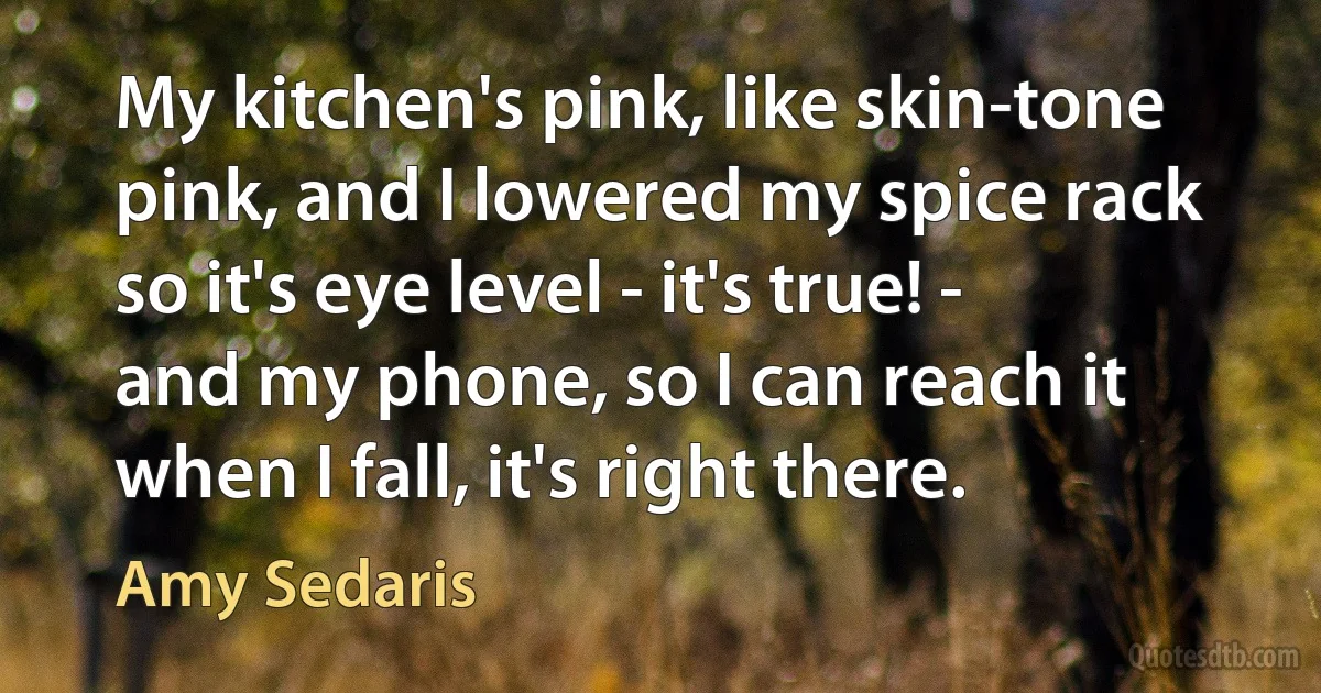 My kitchen's pink, like skin-tone pink, and I lowered my spice rack so it's eye level - it's true! - and my phone, so I can reach it when I fall, it's right there. (Amy Sedaris)