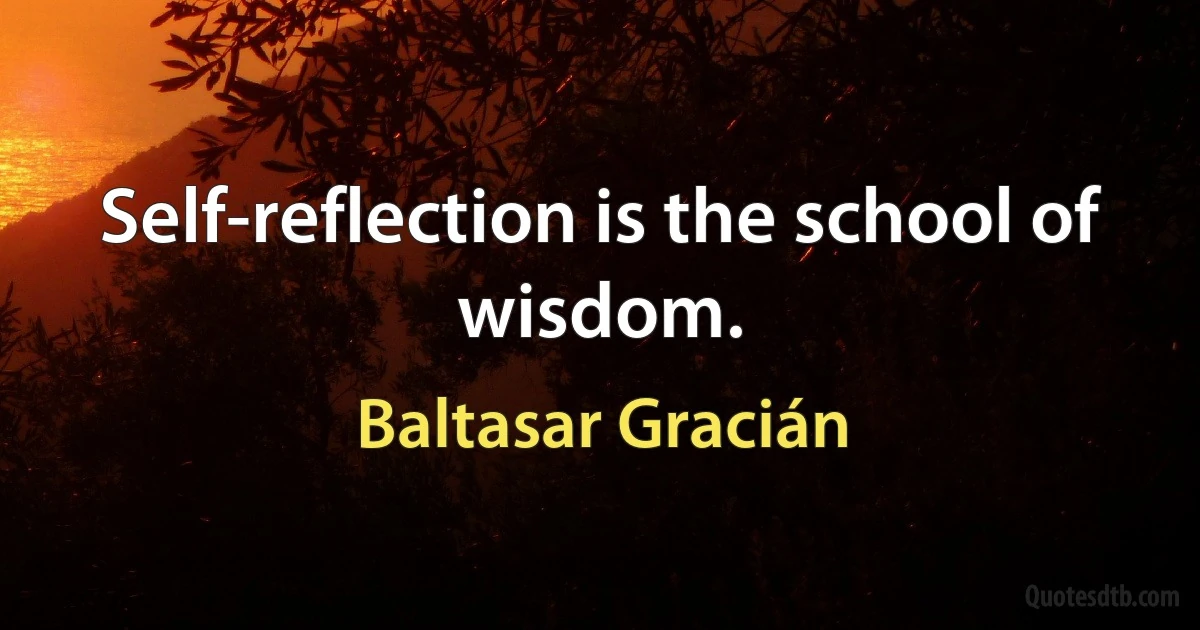 Self-reflection is the school of wisdom. (Baltasar Gracián)