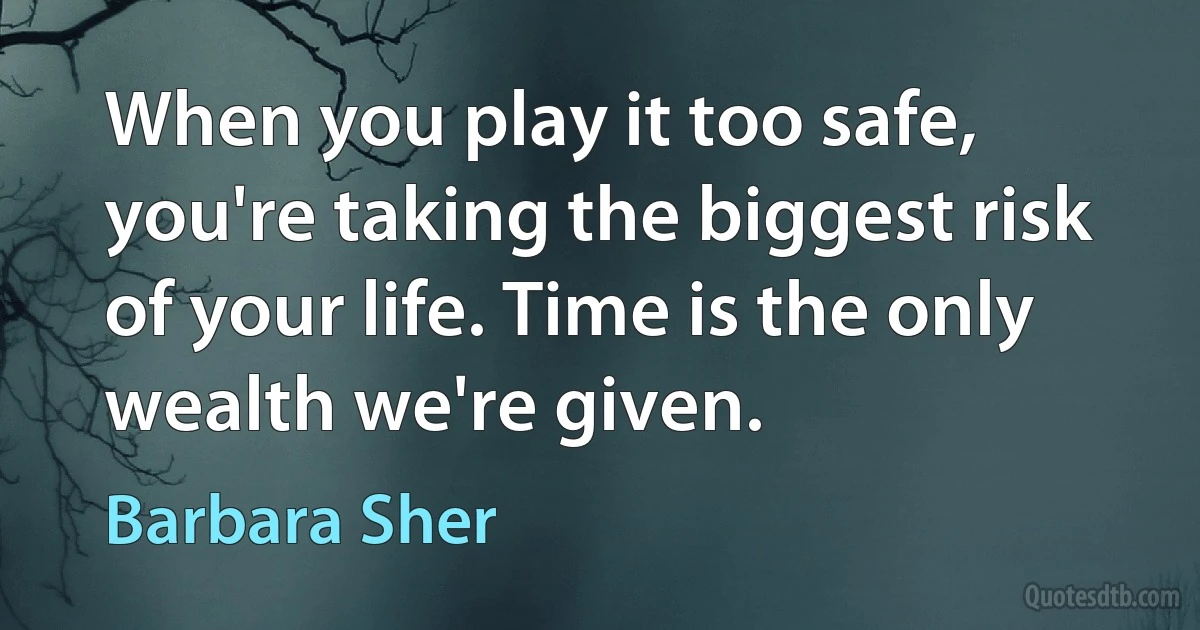 When you play it too safe, you're taking the biggest risk of your life. Time is the only wealth we're given. (Barbara Sher)