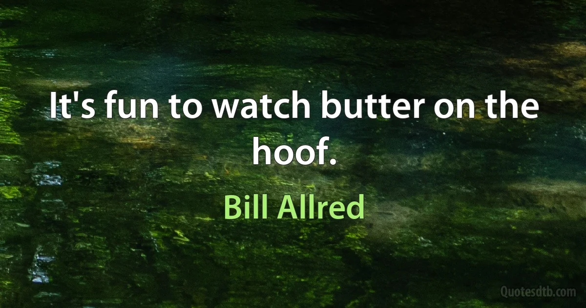 It's fun to watch butter on the hoof. (Bill Allred)