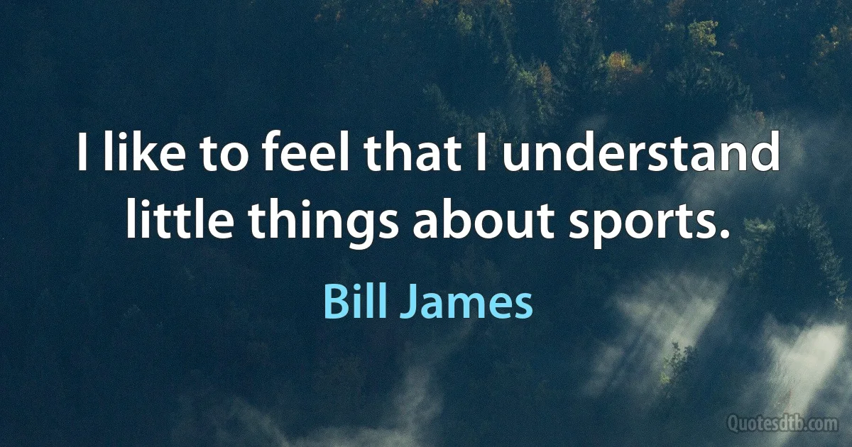 I like to feel that I understand little things about sports. (Bill James)