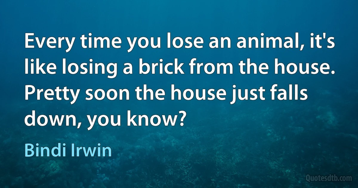 Every time you lose an animal, it's like losing a brick from the house. Pretty soon the house just falls down, you know? (Bindi Irwin)