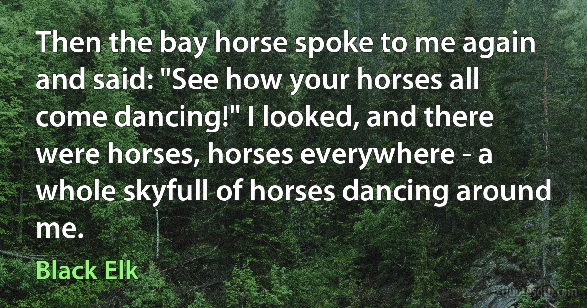 Then the bay horse spoke to me again and said: "See how your horses all come dancing!" I looked, and there were horses, horses everywhere - a whole skyfull of horses dancing around me. (Black Elk)