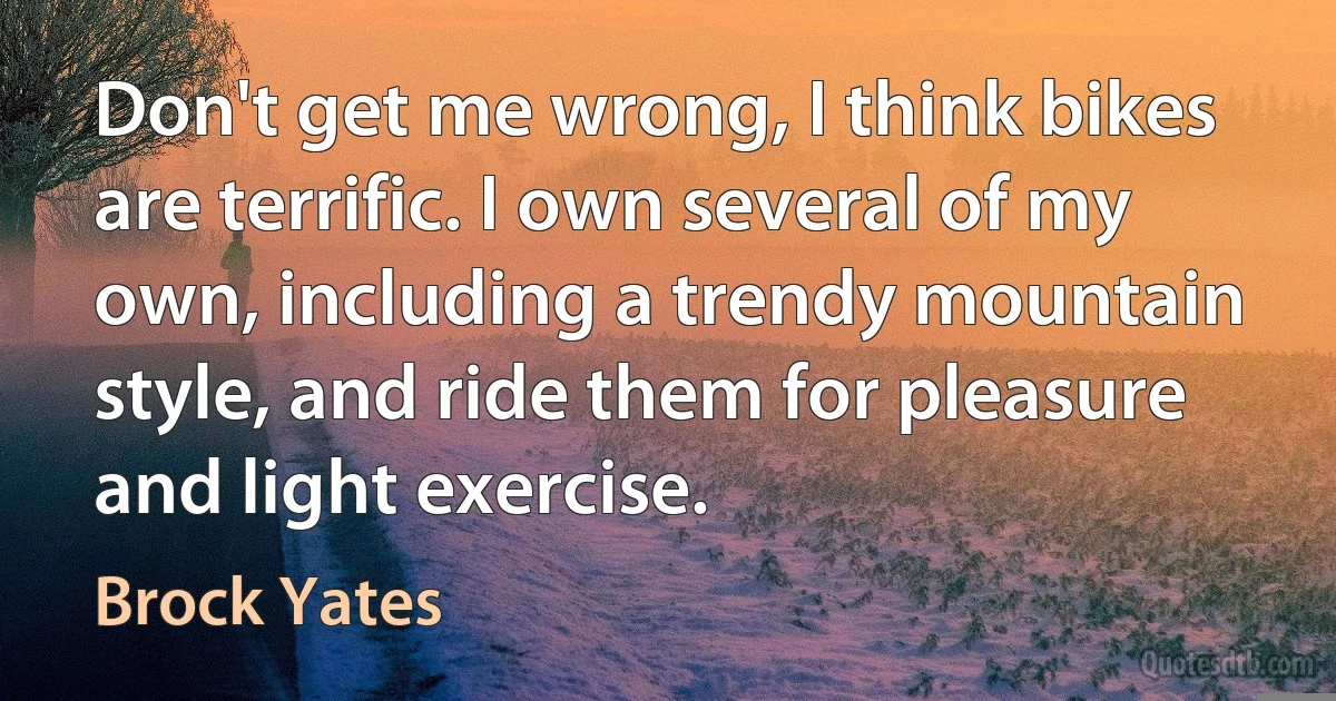 Don't get me wrong, I think bikes are terrific. I own several of my own, including a trendy mountain style, and ride them for pleasure and light exercise. (Brock Yates)