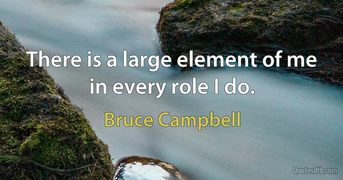 There is a large element of me in every role I do. (Bruce Campbell)