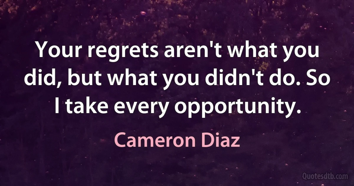 Your regrets aren't what you did, but what you didn't do. So I take every opportunity. (Cameron Diaz)