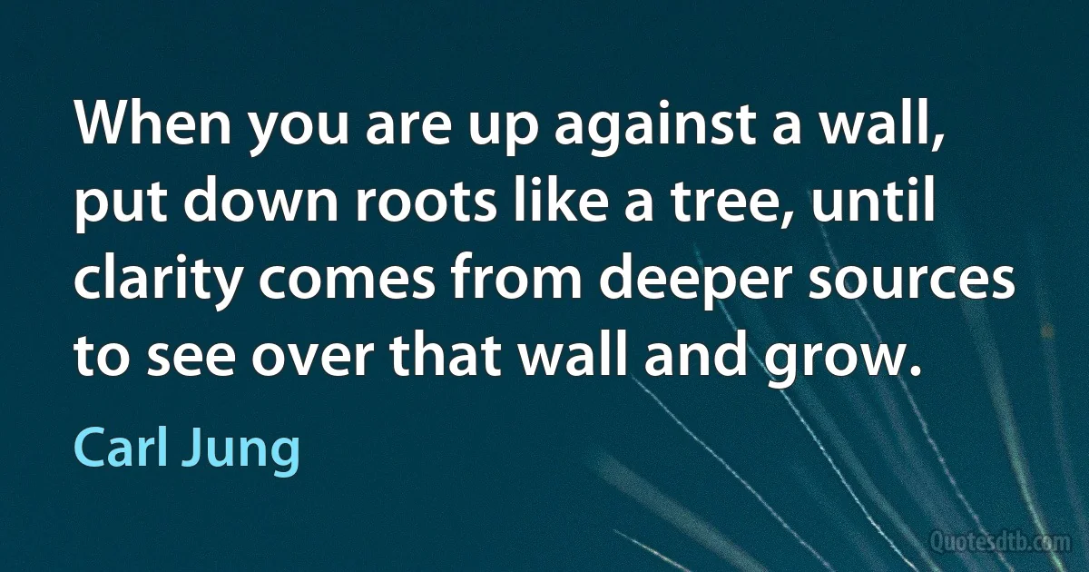 When you are up against a wall, put down roots like a tree, until clarity comes from deeper sources to see over that wall and grow. (Carl Jung)