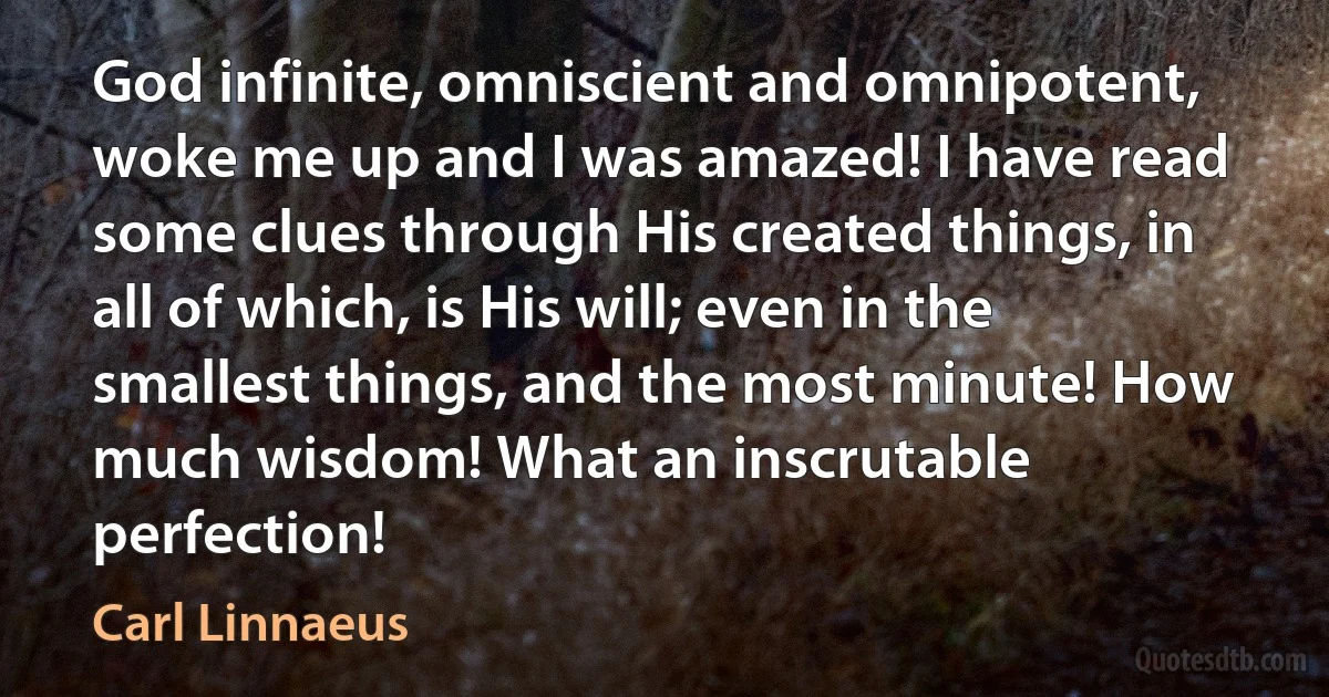 God infinite, omniscient and omnipotent, woke me up and I was amazed! I have read some clues through His created things, in all of which, is His will; even in the smallest things, and the most minute! How much wisdom! What an inscrutable perfection! (Carl Linnaeus)