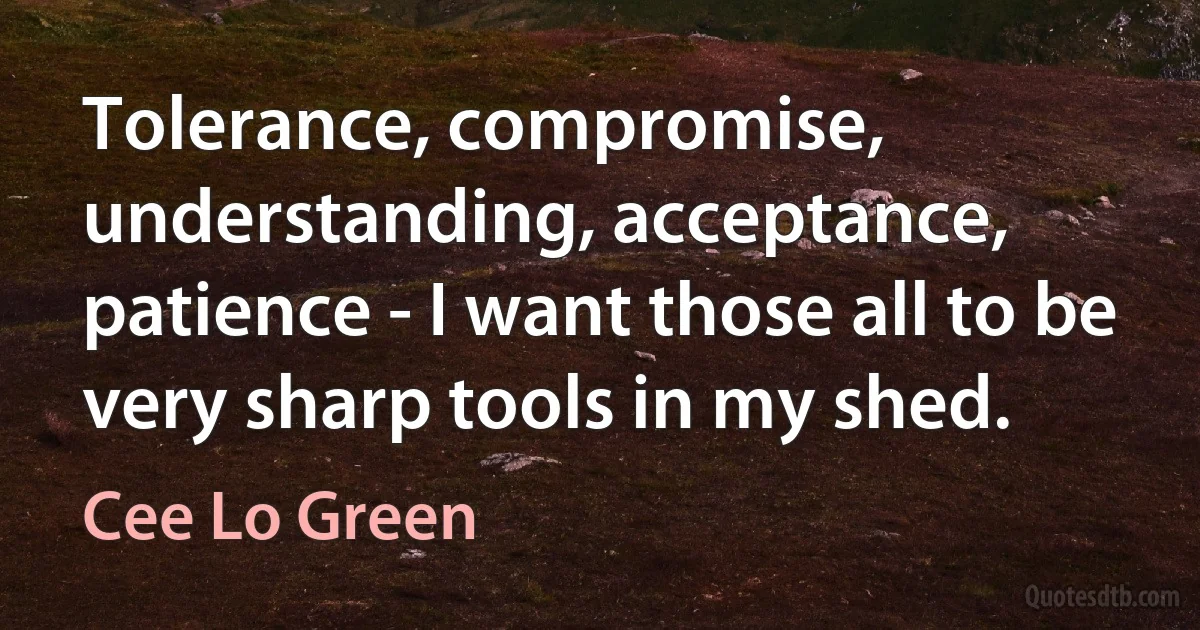 Tolerance, compromise, understanding, acceptance, patience - I want those all to be very sharp tools in my shed. (Cee Lo Green)