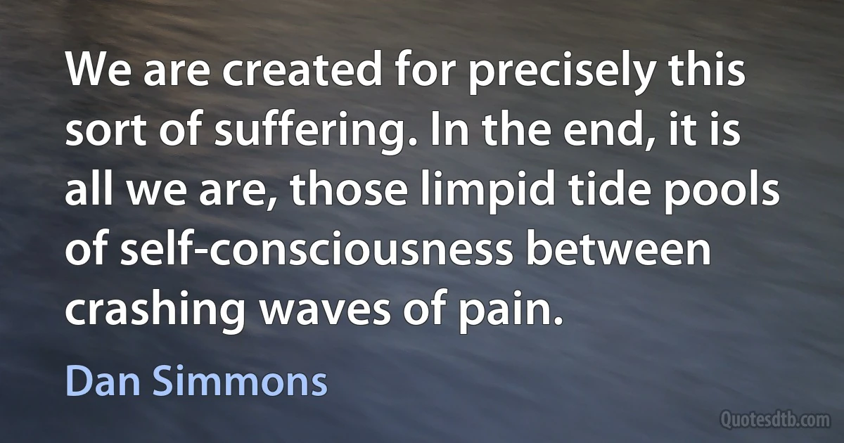 We are created for precisely this sort of suffering. In the end, it is all we are, those limpid tide pools of self-consciousness between crashing waves of pain. (Dan Simmons)