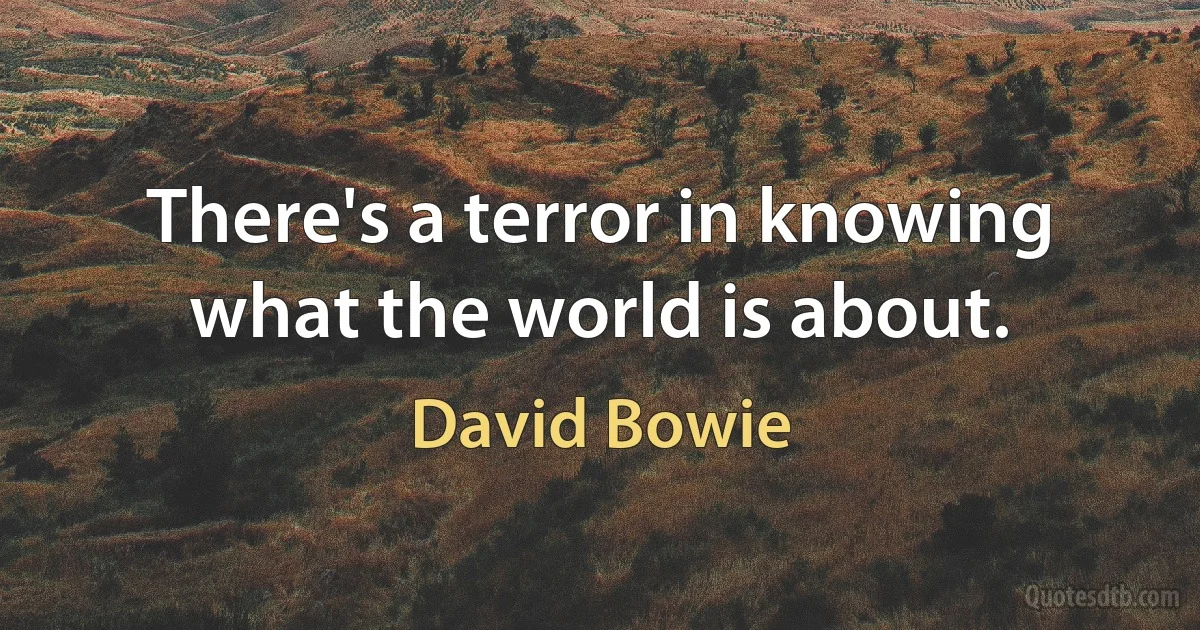 There's a terror in knowing what the world is about. (David Bowie)