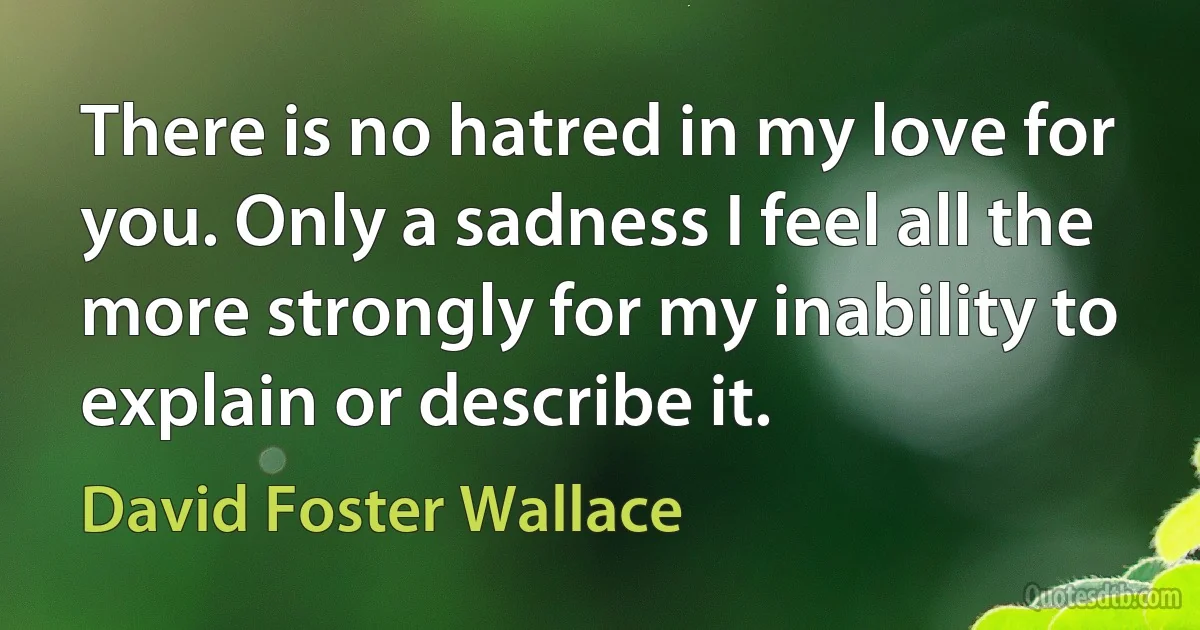 There is no hatred in my love for you. Only a sadness I feel all the more strongly for my inability to explain or describe it. (David Foster Wallace)