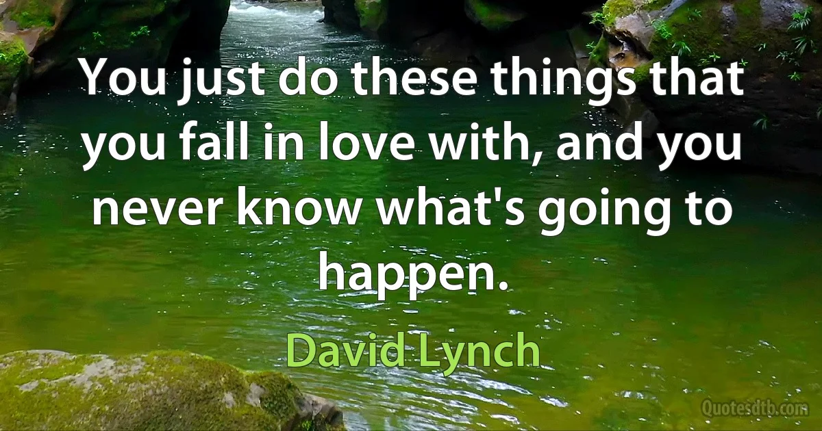 You just do these things that you fall in love with, and you never know what's going to happen. (David Lynch)