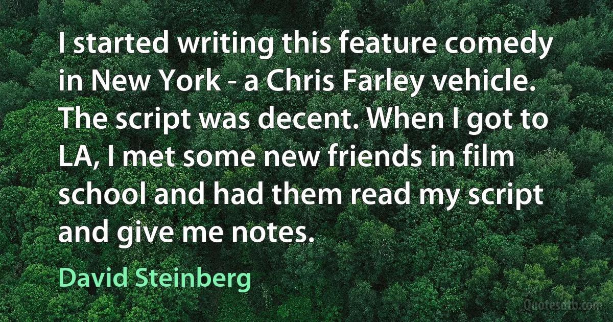 I started writing this feature comedy in New York - a Chris Farley vehicle. The script was decent. When I got to LA, I met some new friends in film school and had them read my script and give me notes. (David Steinberg)