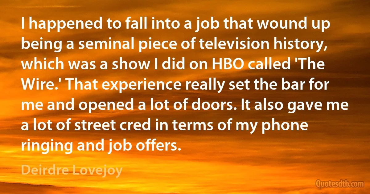 I happened to fall into a job that wound up being a seminal piece of television history, which was a show I did on HBO called 'The Wire.' That experience really set the bar for me and opened a lot of doors. It also gave me a lot of street cred in terms of my phone ringing and job offers. (Deirdre Lovejoy)