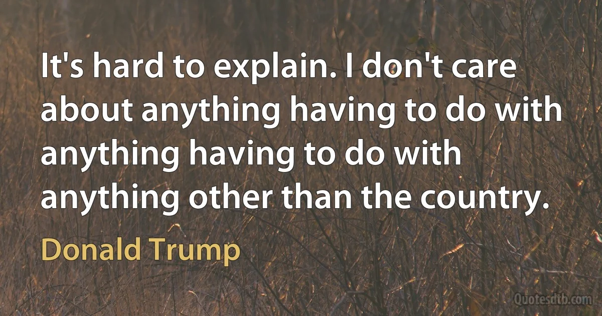 It's hard to explain. I don't care about anything having to do with anything having to do with anything other than the country. (Donald Trump)