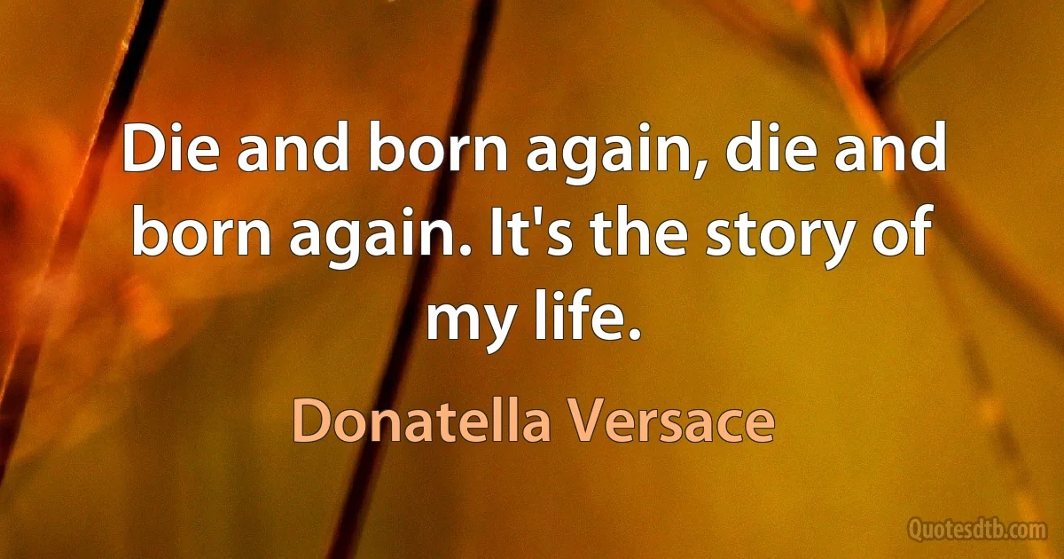 Die and born again, die and born again. It's the story of my life. (Donatella Versace)