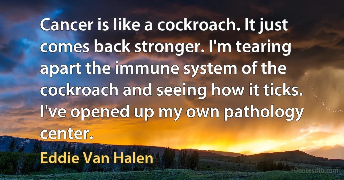 Cancer is like a cockroach. It just comes back stronger. I'm tearing apart the immune system of the cockroach and seeing how it ticks. I've opened up my own pathology center. (Eddie Van Halen)