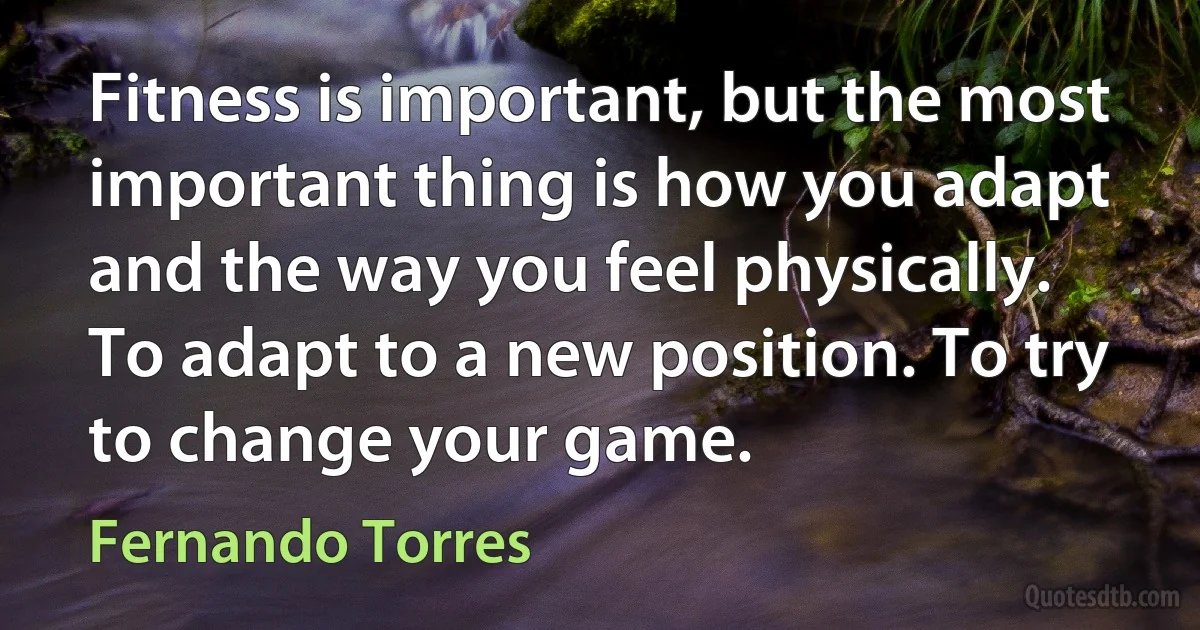 Fitness is important, but the most important thing is how you adapt and the way you feel physically. To adapt to a new position. To try to change your game. (Fernando Torres)