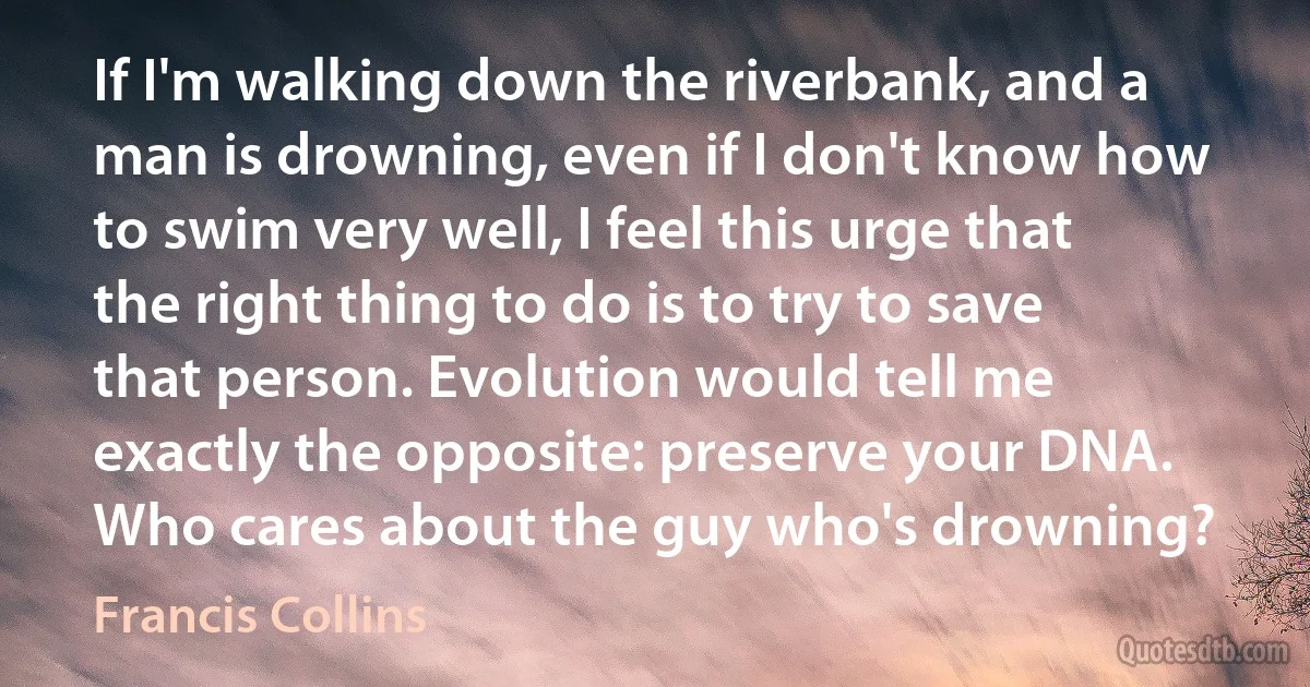 If I'm walking down the riverbank, and a man is drowning, even if I don't know how to swim very well, I feel this urge that the right thing to do is to try to save that person. Evolution would tell me exactly the opposite: preserve your DNA. Who cares about the guy who's drowning? (Francis Collins)