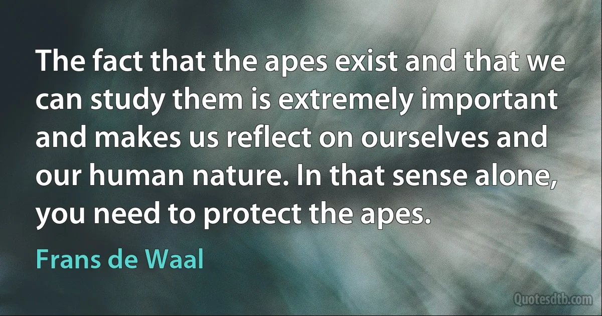 The fact that the apes exist and that we can study them is extremely important and makes us reflect on ourselves and our human nature. In that sense alone, you need to protect the apes. (Frans de Waal)