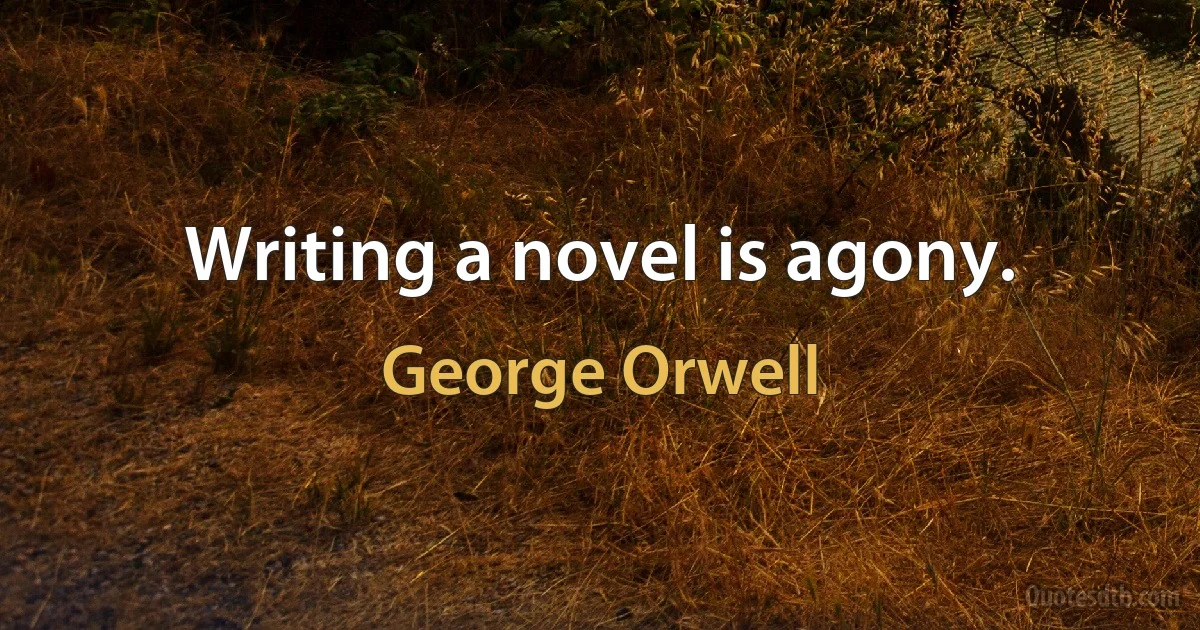 Writing a novel is agony. (George Orwell)