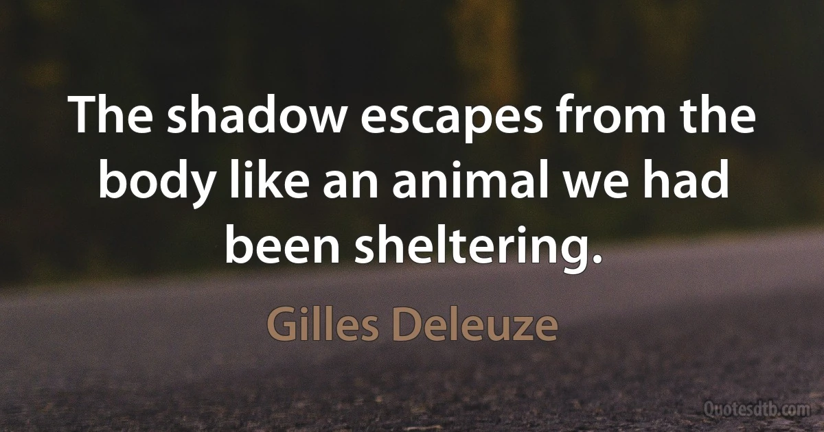 The shadow escapes from the body like an animal we had been sheltering. (Gilles Deleuze)